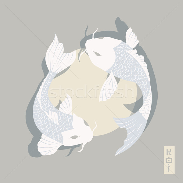 2 鯉 ニシキゴイ 魚 スイミング 周りに ストックフォト © BlueLela
