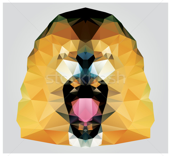 Geometric polygon lion head roaring, pattern design Stock photo © BlueLela