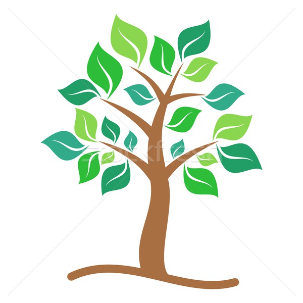 árbol marrón hojas verdes blanco resumen naturaleza Foto stock © blumer1979