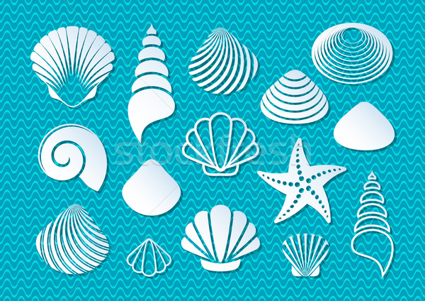 White sea shells icons Stock photo © blumer1979