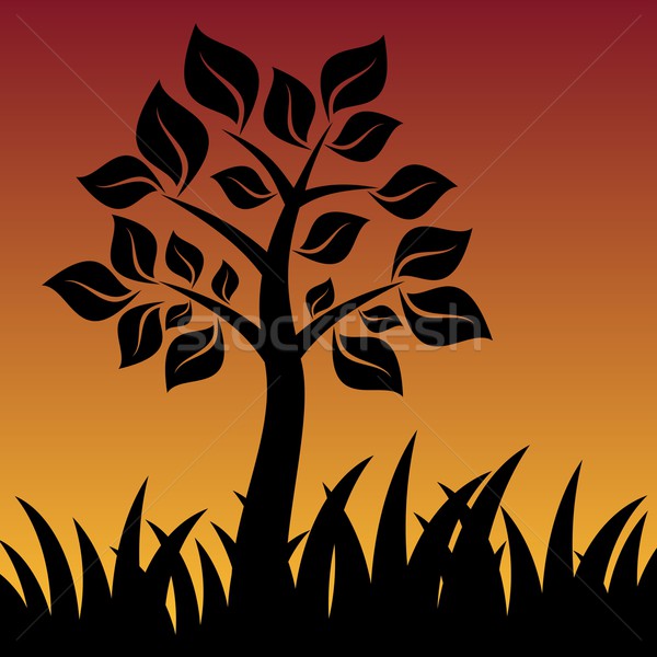 Boom vector zonsondergang gras silhouetten abstract Stockfoto © blumer1979