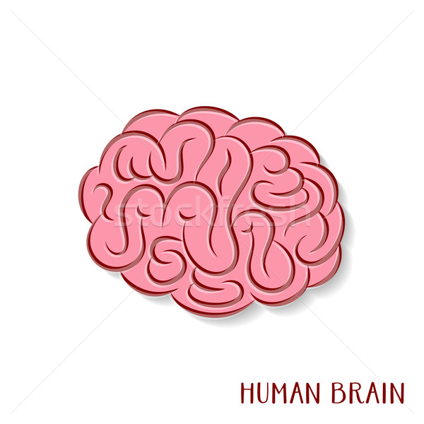 Abstract creierul uman icoană colorat fundal ştiinţă Imagine de stoc © blumer1979