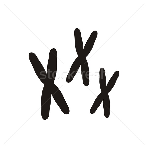 Chromosomes icon Stock photo © blumer1979