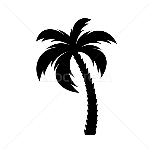 Zwarte vector palmboom icon silhouet geïsoleerd Stockfoto © blumer1979