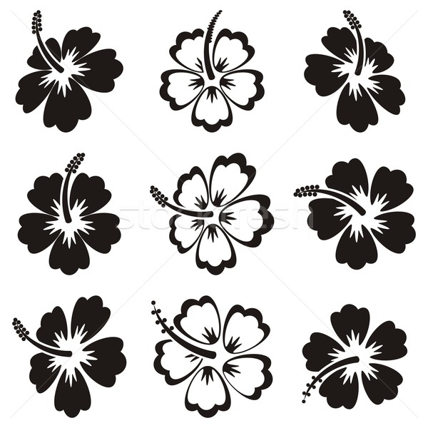 Vector hibiscus silhouette icons Stock photo © blumer1979