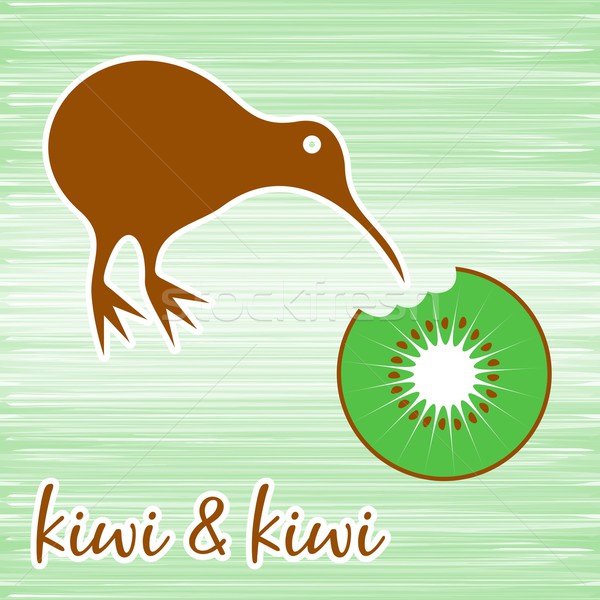 Kiwi bird Stock photo © blumer1979