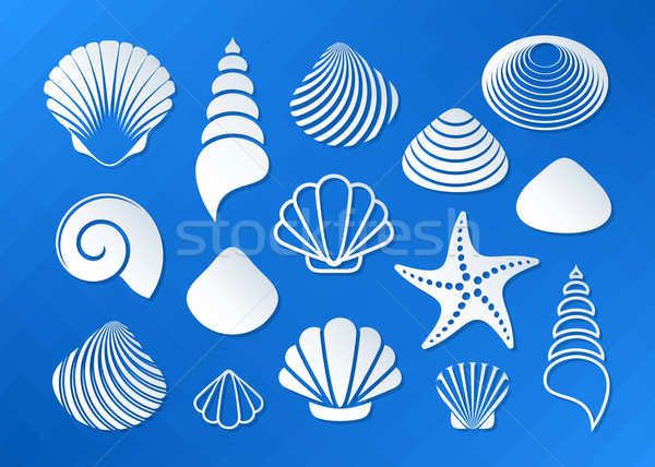 White sea shells and starfish icons Stock photo © blumer1979