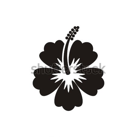 [[stock_photo]]: Vecteur · hibiscus · silhouette · icône · noir · fleur