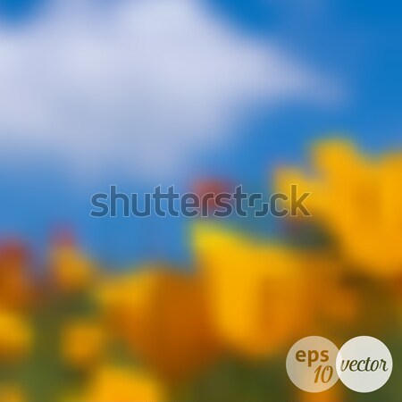 Vector blurred background Stock photo © blumer1979
