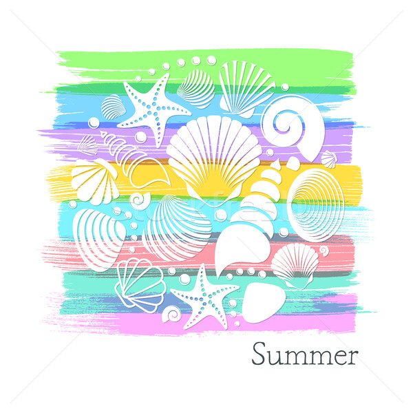 Verano tarjeta blanco mar conchas colorido Foto stock © blumer1979