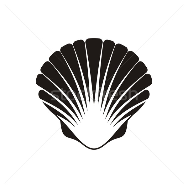 Scallop seashell icon Stock photo © blumer1979