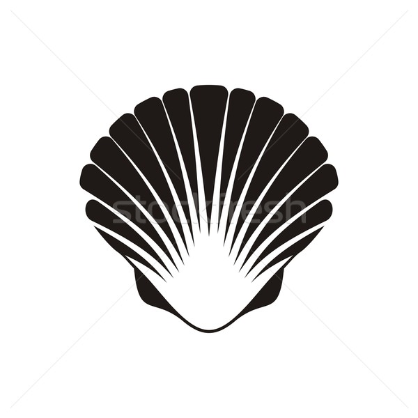 Scallop seashell icon Stock photo © blumer1979