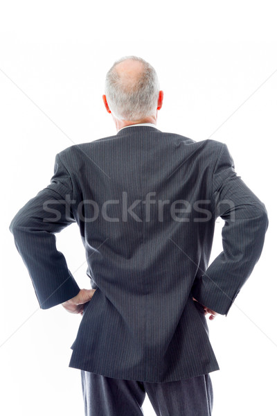 Rear view of a businessman standing with his arms akimbo Stock photo © bmonteny