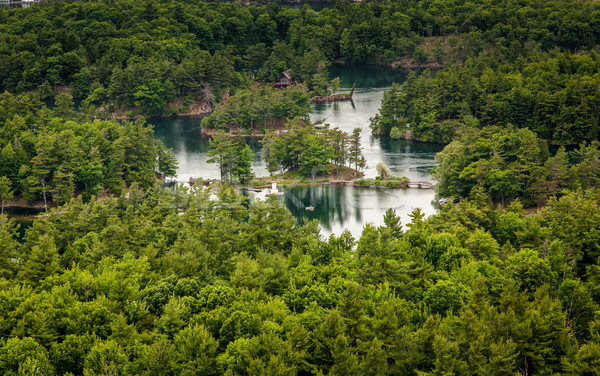 River flowing through a forest, Saint Lawrence River, Hill Islan Stock photo © bmonteny
