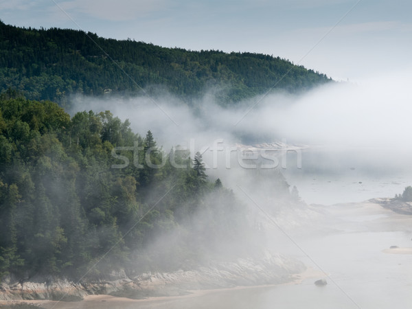 тумана реке Квебек Канада лес зеленый Сток-фото © bmonteny