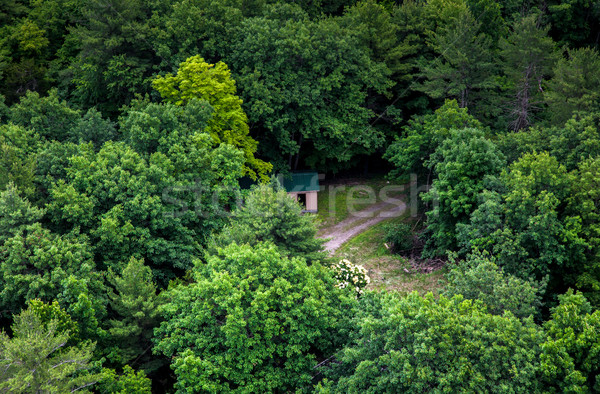 Căsuţă pădure ontario Canada natură verde Imagine de stoc © bmonteny