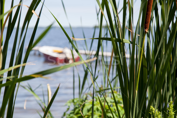 Barcă dig ontario Canada apă iarbă Imagine de stoc © bmonteny