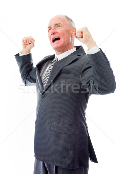 Businessman celebrating success Stock photo © bmonteny