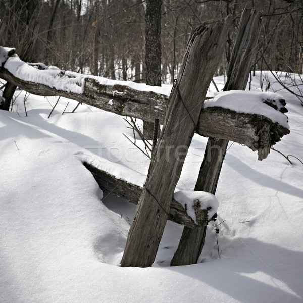 Snow covered wooden posts, Orangeville, Dufferin County, Ontario Stock photo © bmonteny