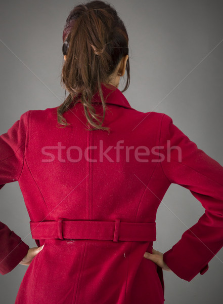 Rear view of an Indian young woman standing with her arms akimbo Stock photo © bmonteny