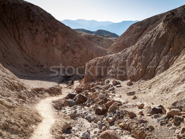 Dry creek passing through hills, Death Valley National Park, Cal Stock photo © bmonteny