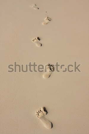 ślady piasku bose stopy plaży Zdjęcia stock © bobhackett