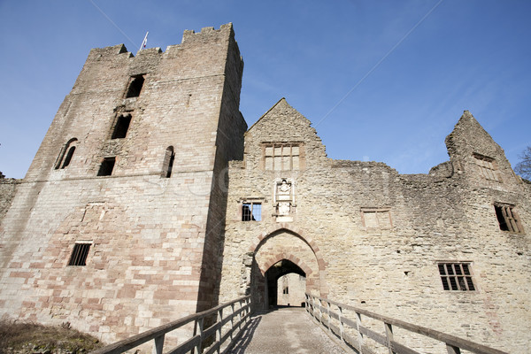 Burg Brücke Eingang Bogen Ruinen Himmel Stock foto © bobhackett