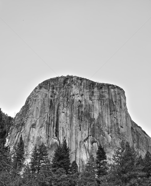 El Capitan Black White Stock photo © bobkeenan