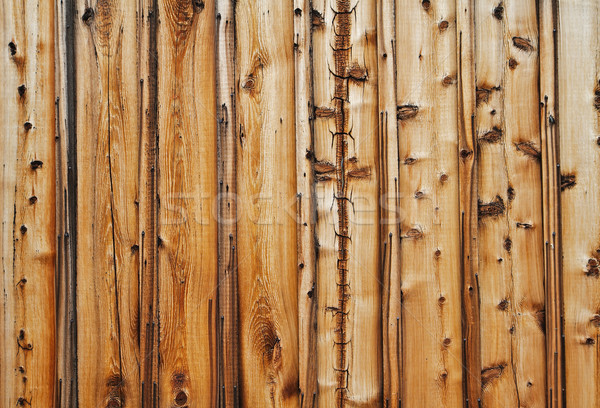 Knotty wood wall Stock photo © bobkeenan
