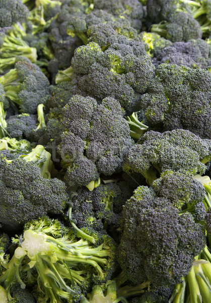Farmers Market Broccoli Stock photo © bobkeenan