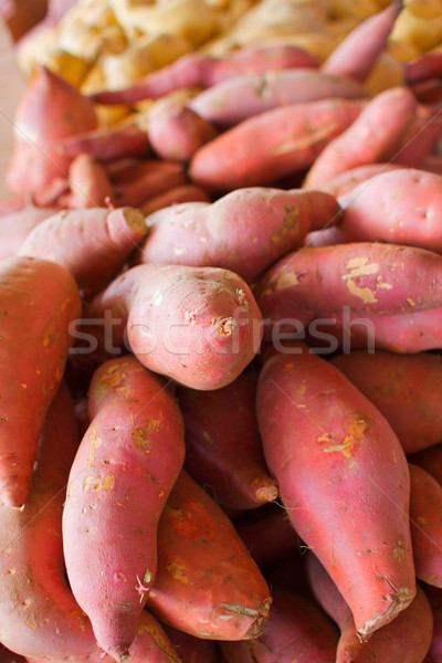 Dulce patatas grande naranja dorado Foto stock © bobkeenan