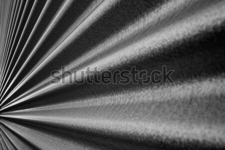 Converging Corrugated wall BW Stock photo © bobkeenan