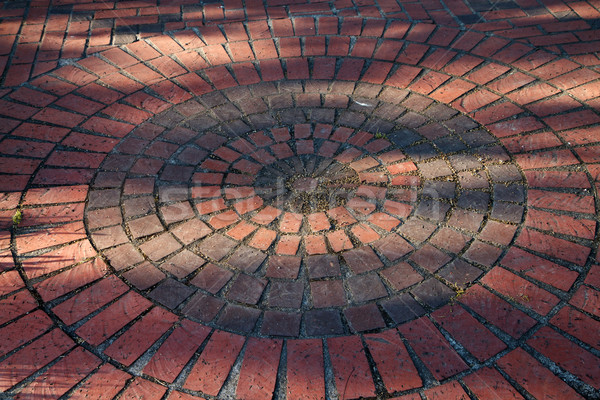 Brick circles Stock photo © bobkeenan