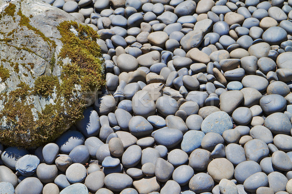 River Rocks and boulder Stock photo © bobkeenan