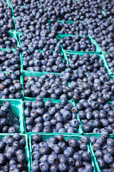 Sea of Blueberries Vertical Stock photo © bobkeenan