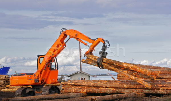 Klaue schwierig Pflicht orange wie Maschine Stock foto © bobkeenan