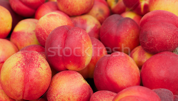 Foto stock: Nectarina · fruto · foco · agricultores