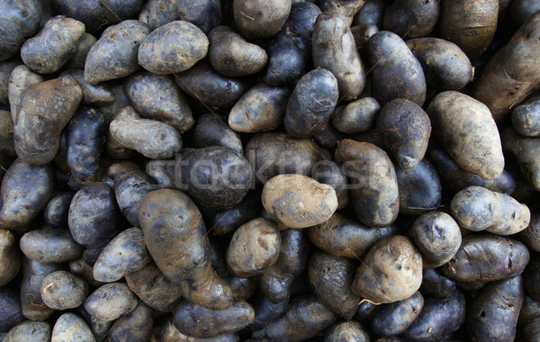 Zdjęcia stock: Czarny · ziemniaki · rynku · roślin