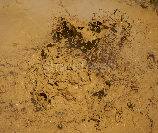 Lassen Mud Pit A Stock photo © bobkeenan