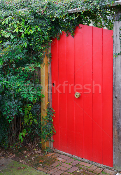 Red fence door Stock photo © bobkeenan