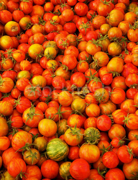 Red Juicy Heirloom Tomatoes Stock photo © bobkeenan