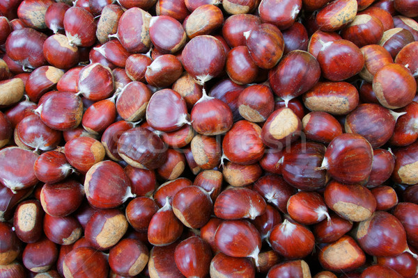Pile of Chestnuts Stock photo © bobkeenan