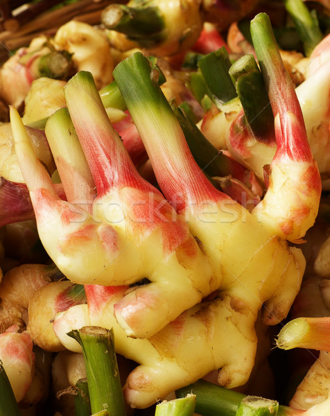 Colorful Young Ginger Root Stock photo © bobkeenan