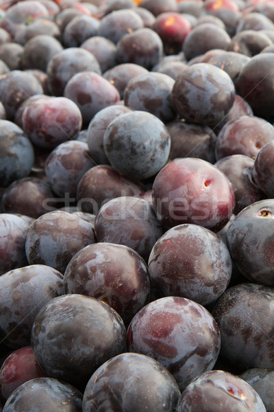 商业照片: 紫色    红色    质地    健康 / pile of purple and red