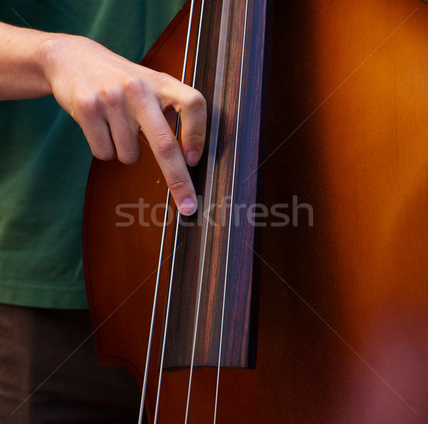 Playing the Bass Stock photo © bobkeenan