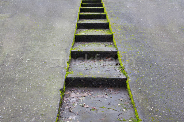Foto stock: Concreto · entrada · da · garagem · escada · verde · musgo · construção
