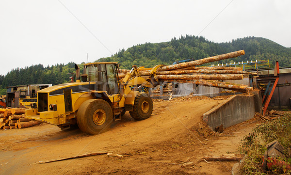 Logging Forklift Loading Stock photo © bobkeenan