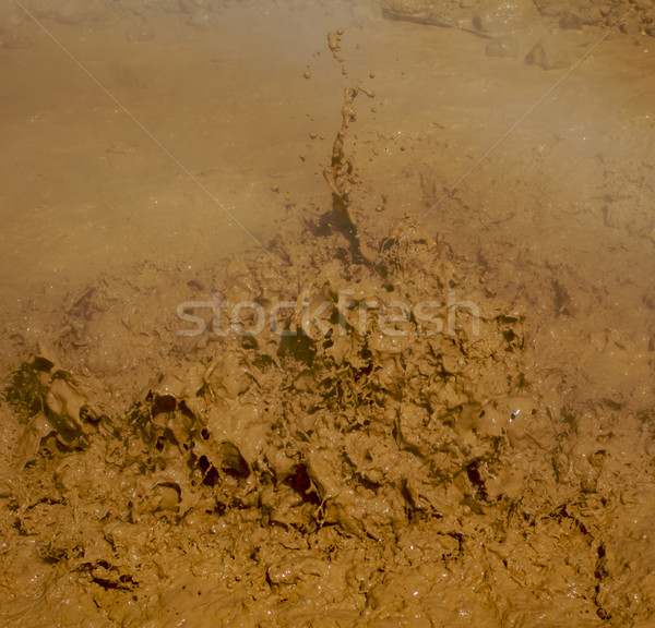 Lassen Mud Pit e Stock photo © bobkeenan