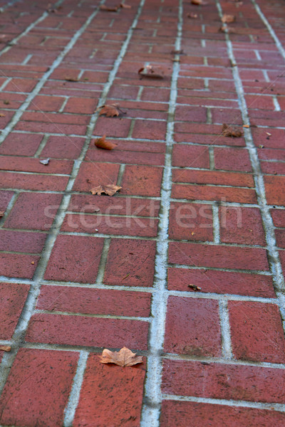 canted brick walkway Stock photo © bobkeenan