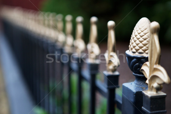 Gold tipped Iron fence narrow DOF Stock photo © bobkeenan